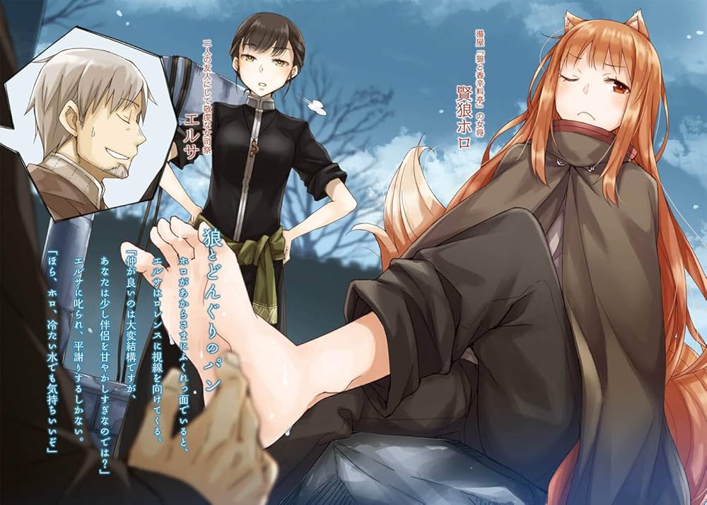 Amazon.co.jp: 狼と香辛料XXII Spring LogV (電撃文庫) : 支倉 凍砂