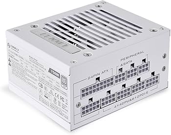 Amazon.co.jp: LIANLI SFX電源 SP750 GOLD WHITE フルプラグイン