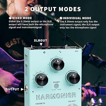 Amazon.com: MOOER Harmonier Vocal Effects Processor Guitar Voice