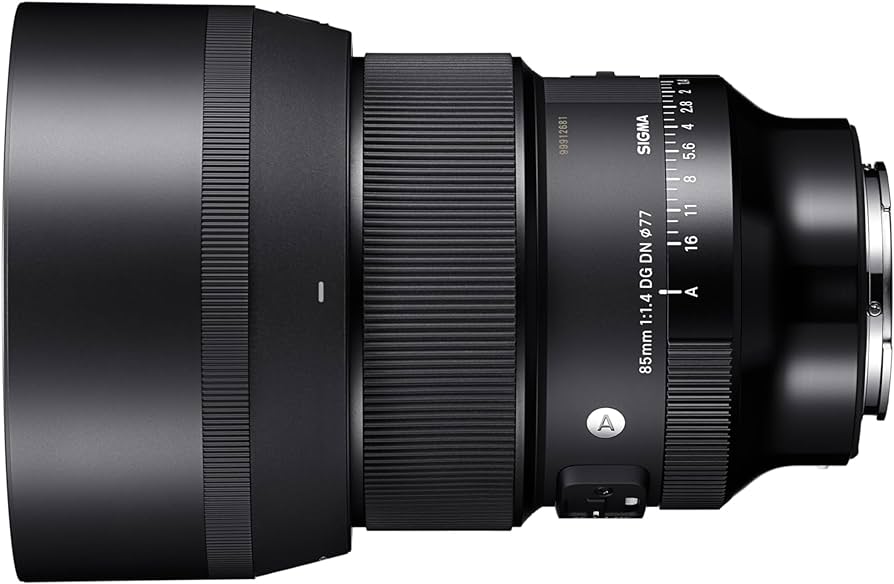 Amazon.com : Sigma 85mm F1.4 DG DN Sony E (322965), Black