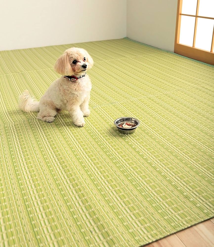 Amazon | ござ 4.5畳 4畳半 日本製 純国産 防ダニ バルカン グリーン