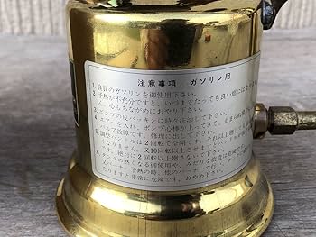 71wiZB-5MdL._AC_UF350,