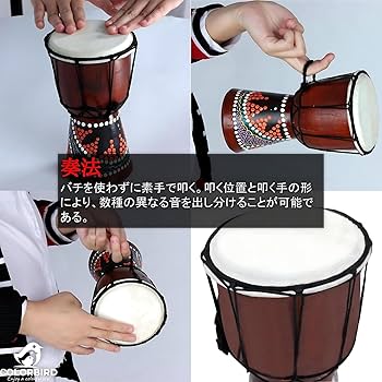 Amazon | COLORBIRD ジャンベ 打楽器 楽器 太鼓 民族楽器