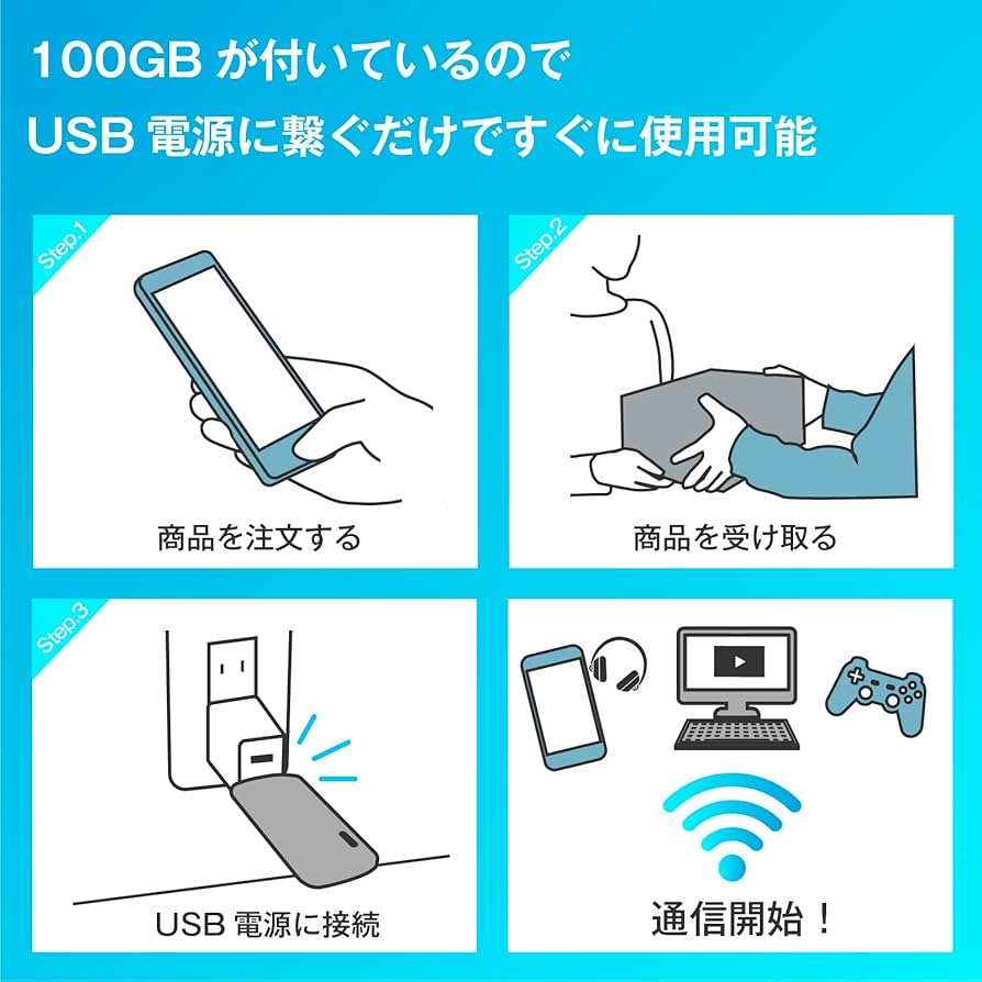 Amazon.co.jp: 【3/1販売開始】ecoco 1年間 100ギガ 付 USB型
