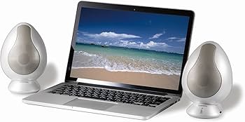 71xzCmPfWFL._AC_UF350,