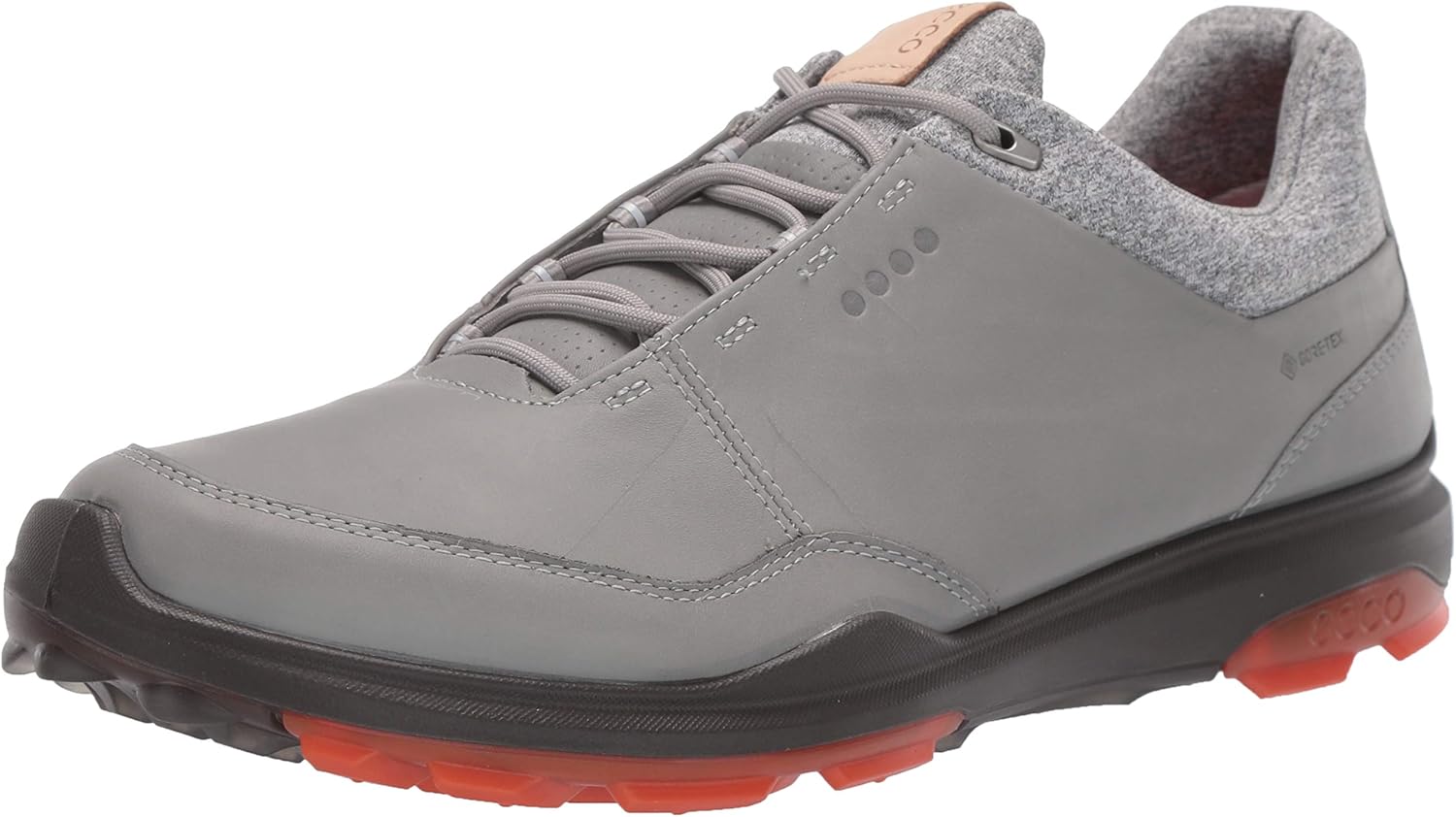 Amazon | ECCO メンズ Biom Hybrid 3 Gore-Tex ゴルフシューズ