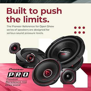 Amazon.com: PIONEER P.R.O. Series TS-W3020PRO 12” Subwoofer