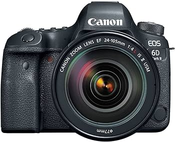 Amazon.com : Canon EOS 6D Mark II DSLR Camera with 24-105mm f/4L