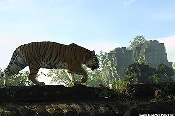 Amazon.co.jp: トゥー・ブラザーズ Blu-ray : ガイ・ピアース