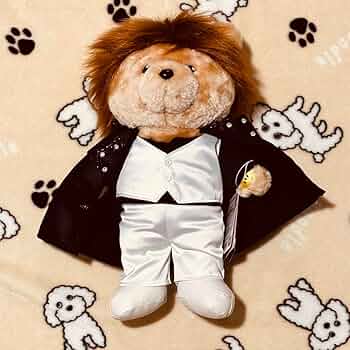 71ymn8Jh-RL._AC_UF350,