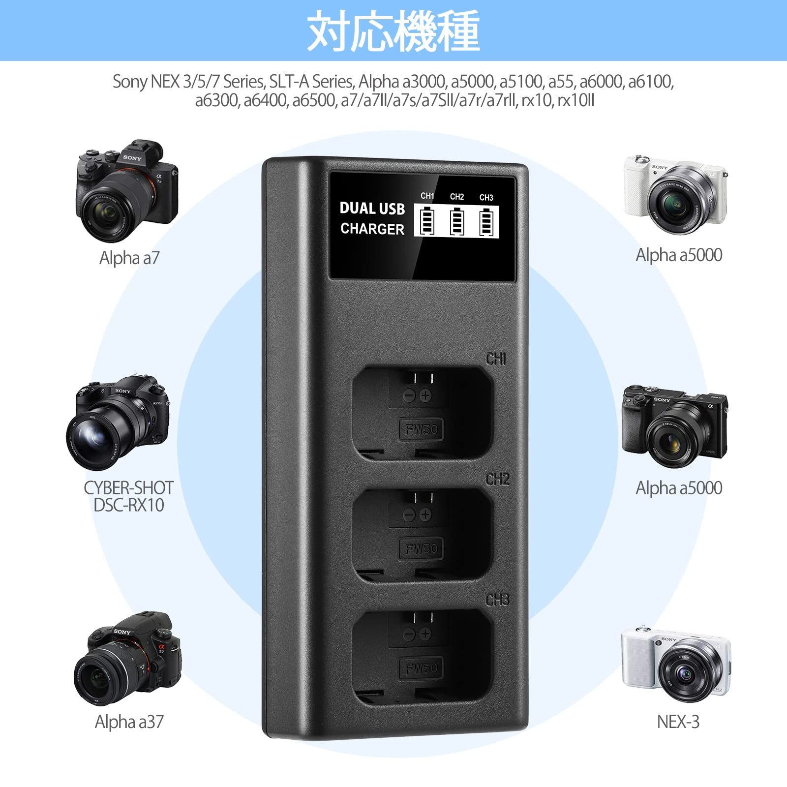 Sony デジタルカメラ DSC-RX10 ジャンク 動作未確認 ジャンク扱い