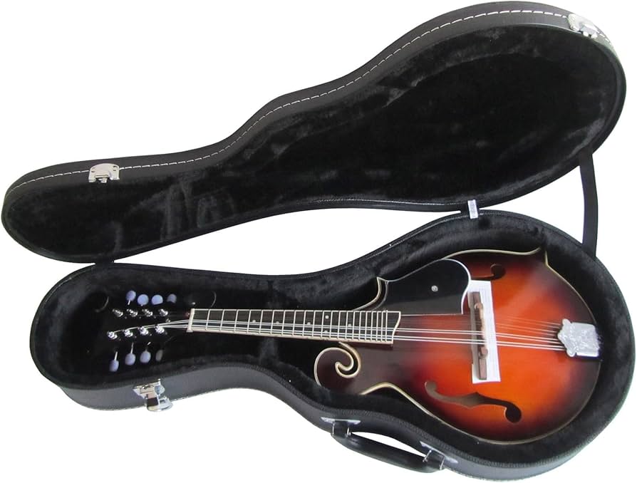 Amazon | マンドリン楽器 F字型 8弦ギター マンドリン チベット楽器 F