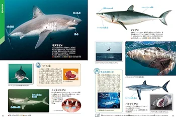 Amazon.co.jp: サメ (学研の図鑑LIVEエクストリーム) : アクアワールド