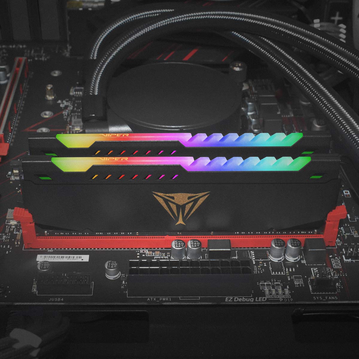 Amazon | Patriot Memory パトリオットメモリ Viper Steel RGB DDR4