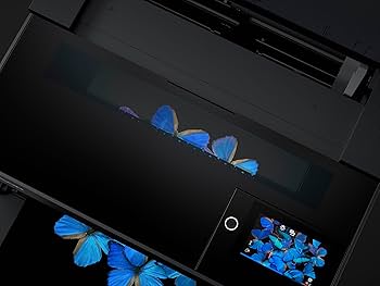 Amazon.co.jp: エプソン プリンター A3ノビ インクジェット SC-PX1V