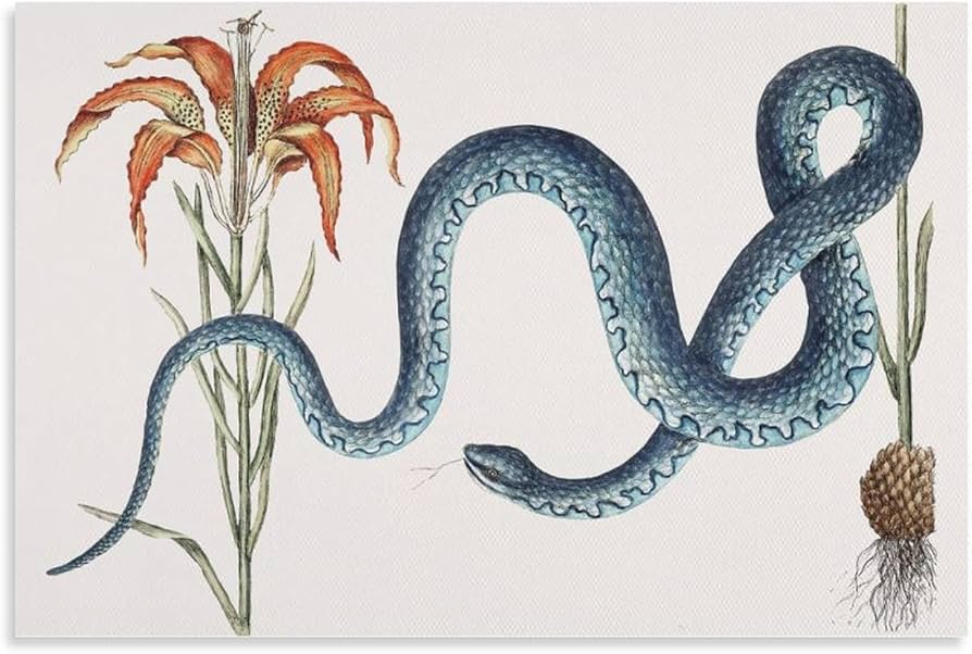 Amazon.co.jp: 絵画 青い蛇とユリインテリア 絵画 科学的なイラスト