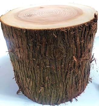 71BB9YtJBbL._AC_UF350,