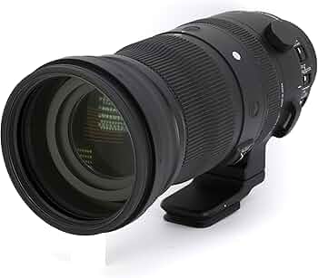 Amazon.com: Sigma 150-600mm F5/-6.3 DG DN for L Mount : Sports