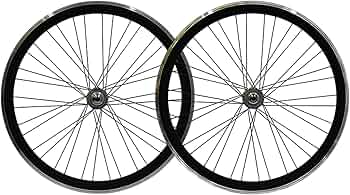 71BMVZGLSlL._AC_UF350,