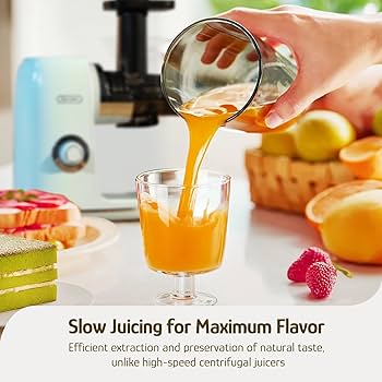 Amazon.com: Hazel Quinn Masticating Juicer - Cold Press Slow