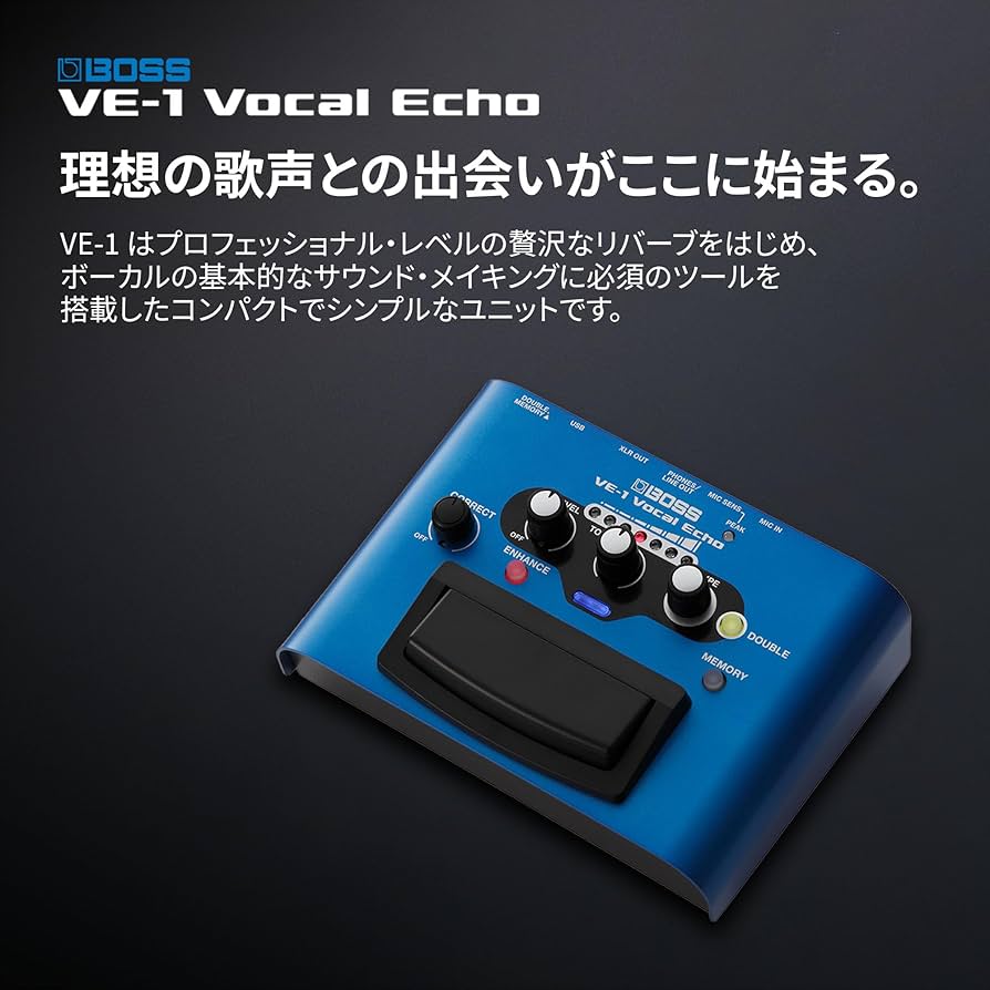 Amazon | BOSS ボス ボーカルエコー VE-1 電池/AC 電源の 2 電源方式