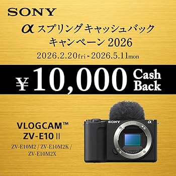 Amazon | SONY(ソニー) 【ZV-E10M2 と バッテリー/チャージャー