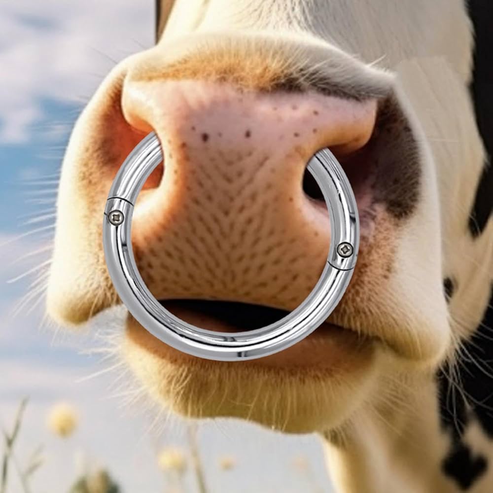 Amazon.co.jp: ETUCYNG 雄牛用鼻輪、牛用鼻輪,ブルコントロール用