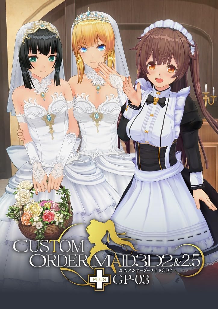 Amazon.co.jp: カスタムオーダーメイド3D2&2.5＋ GP-03 : PCソフト