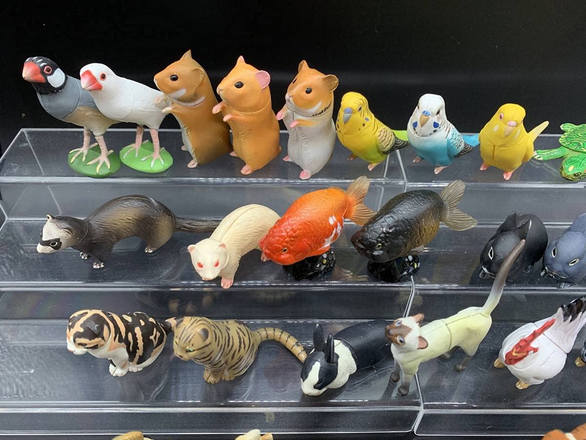 海洋堂：チョコエッグ・チョコQ：日本の動物ペットわがままな天然列島