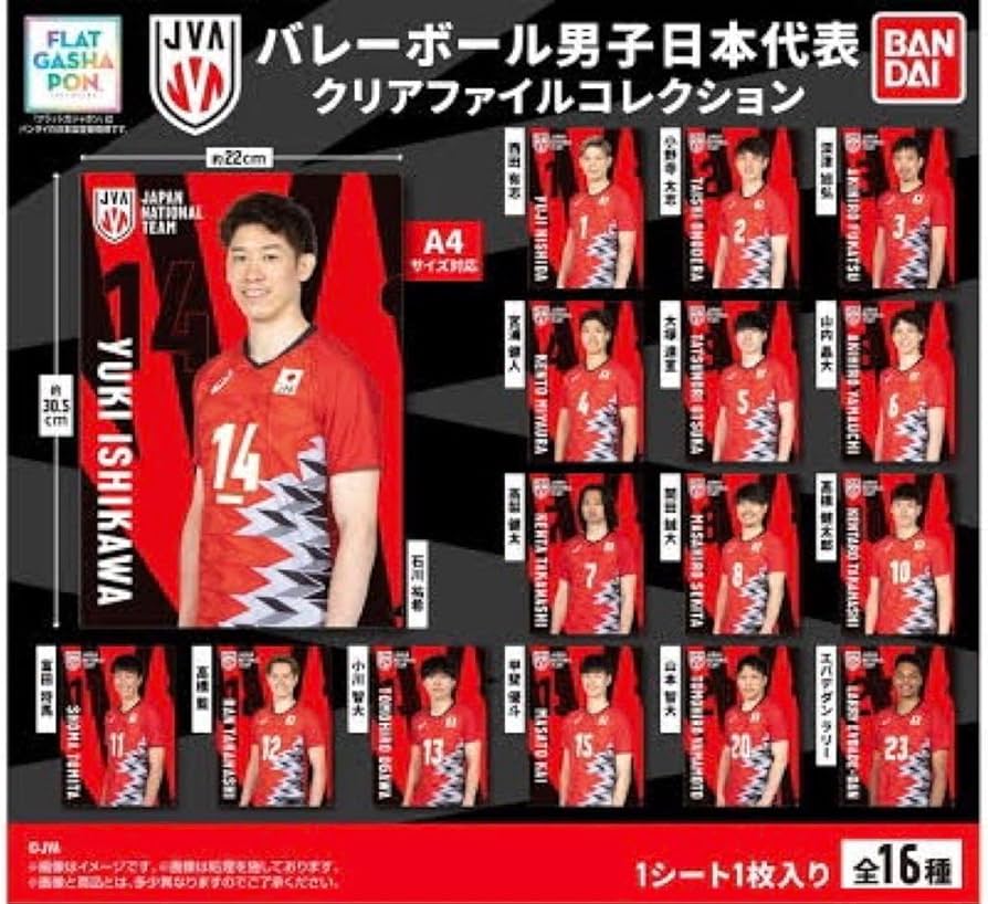 Amazon.co.jp: バレーボール男子本代表 クリアファイル ガチャガチャ