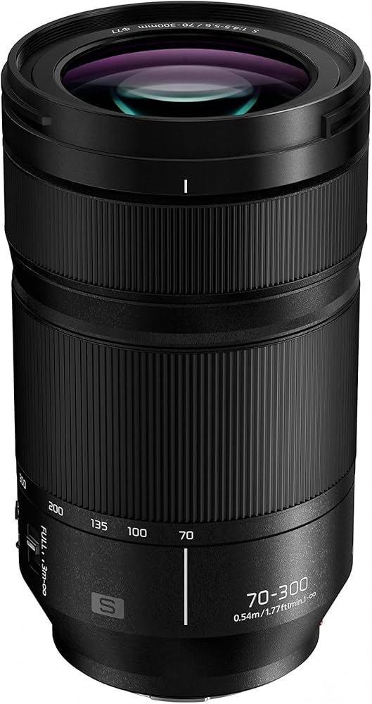 Amazon.com : Panasonic LUMIX S Series Camera Lens, 70-300mm F4.5