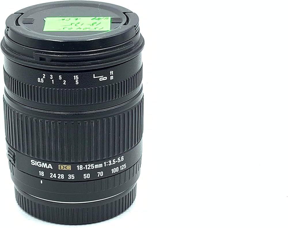 Amazon.co.jp: シグマ 18-125mm F3.8-5.6 DC OS HSM キヤノン用 : 家電