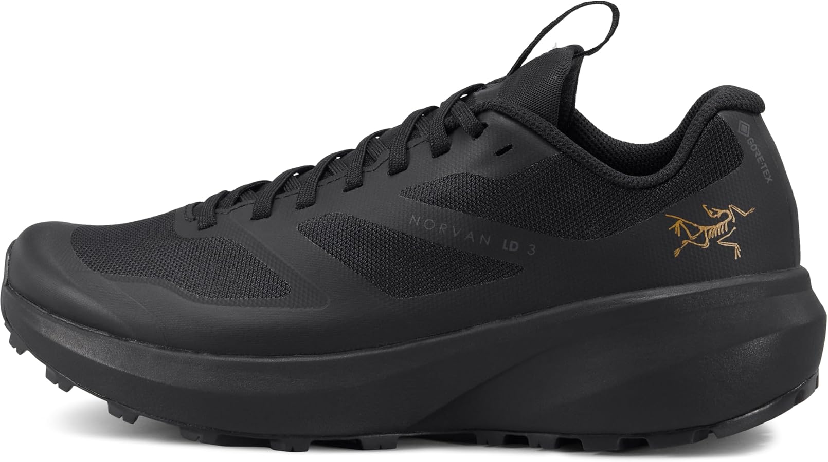 Amazon.com: Arc'teryx Norvan LD 3 GTX Shoe Women's | Long Distance