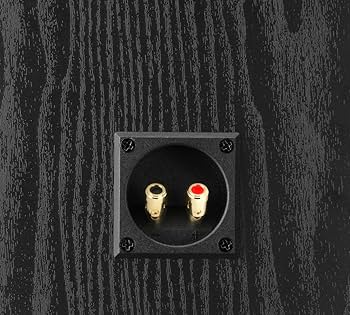 Amazon.co.jp: Dali Alteco C-1 ユニバーサルスピーカー - ペア