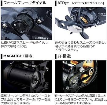 Amazon | ダイワ(DAIWA) 20 レオブリッツ 500JP | ダイワ(DAIWA
