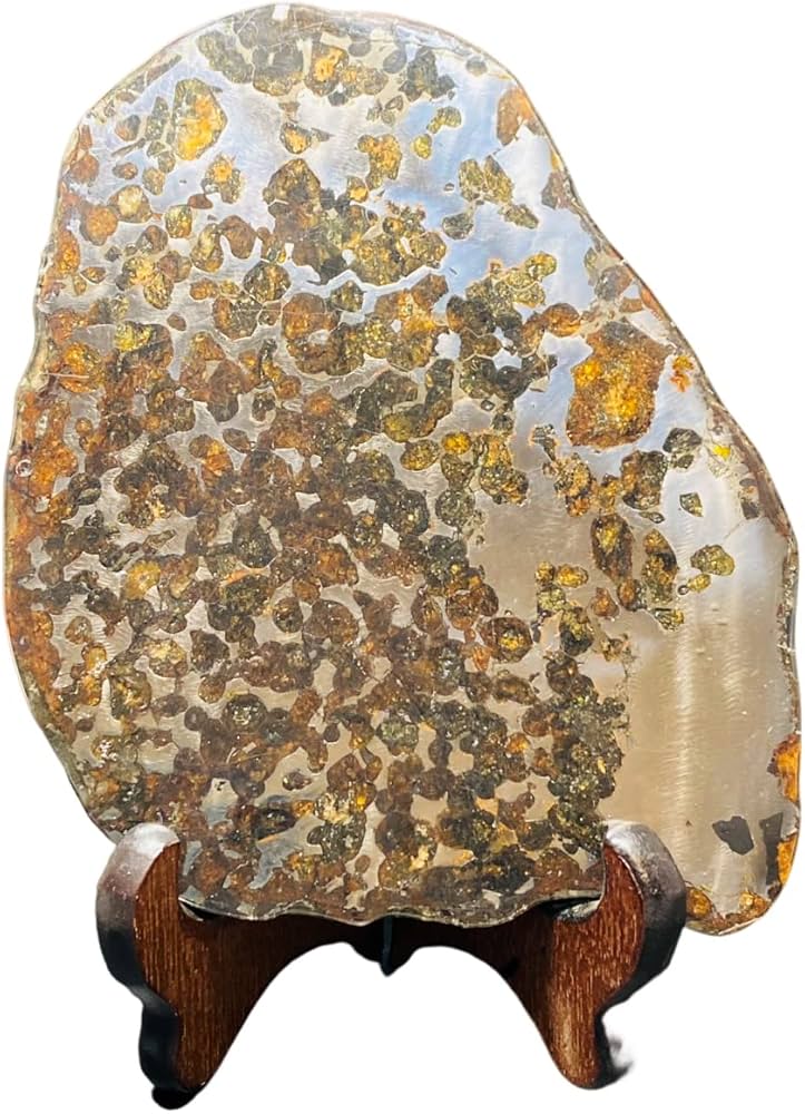 Amazon.co.jp: 【鑑別書付き】 パラサイト隕石 231.5g 男女兼用 隕石