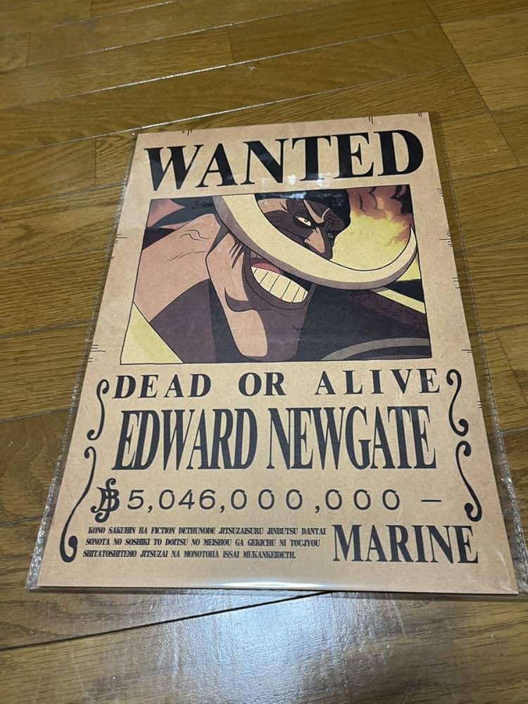 Amazon.co.jp: ワンピース ONEPIECE 手配書 懸賞金ポスター 5枚セット