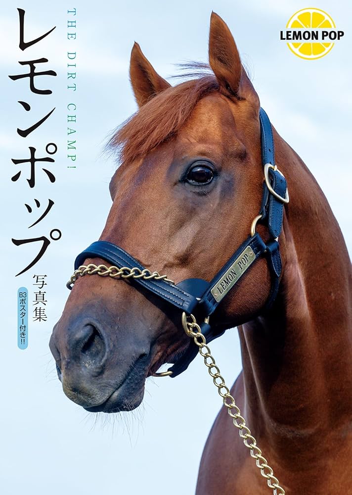 レモンポップ写真集 THE DIRT CHAMP! | ダーレー・ジャパン, 田中博康