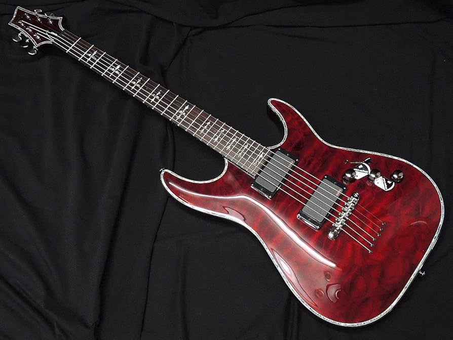Amazon | Schecter AD-C-1-HR/BCH シェクター ヘルレイザー ブラック