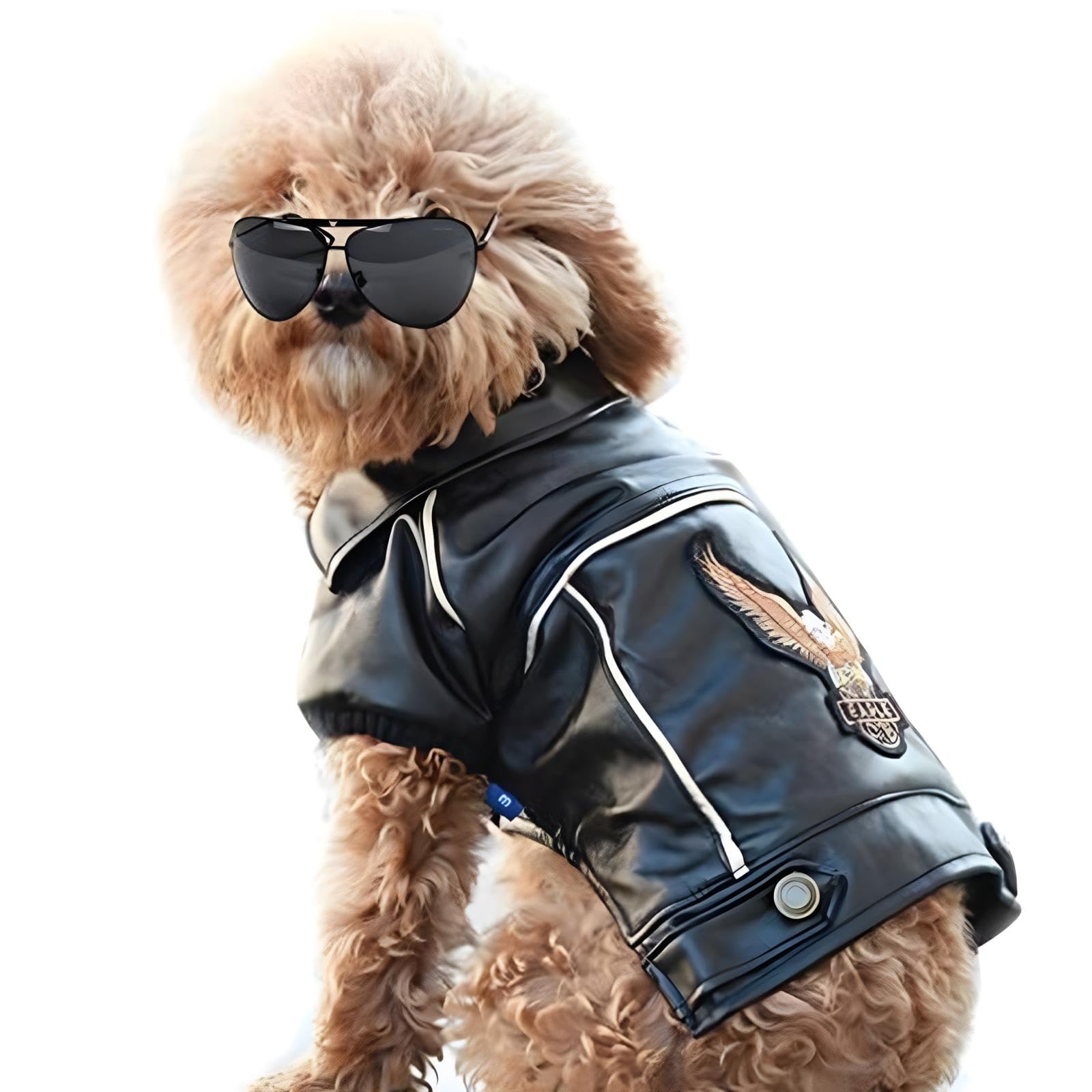 NIULA Dog Leather Jacket - Cute Leather Dog Jackets Motorcycle