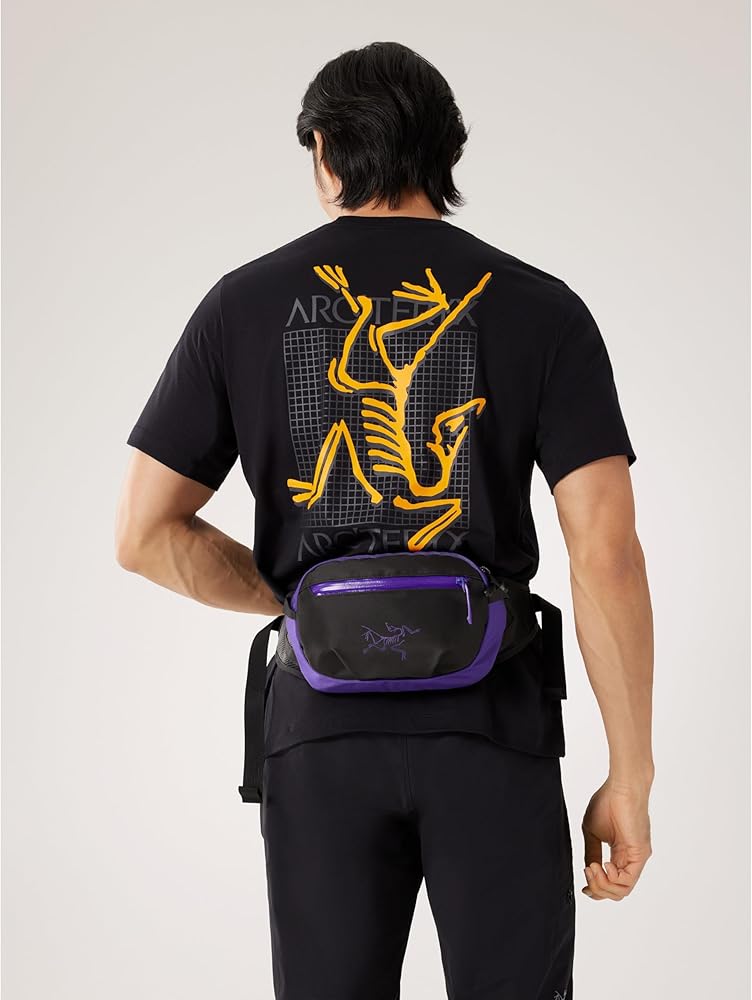 Amazon | Arc'teryx Arro ウエストパック | コンパクトで快適な丈夫な
