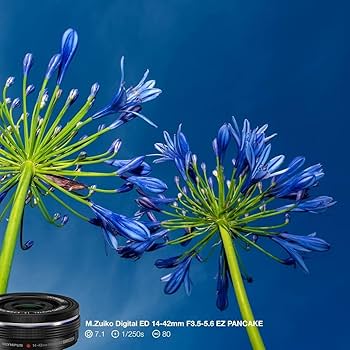 Amazon | OLYMPUS 電動式パンケーキズームレンズ M.ZUIKO DIGITAL ED