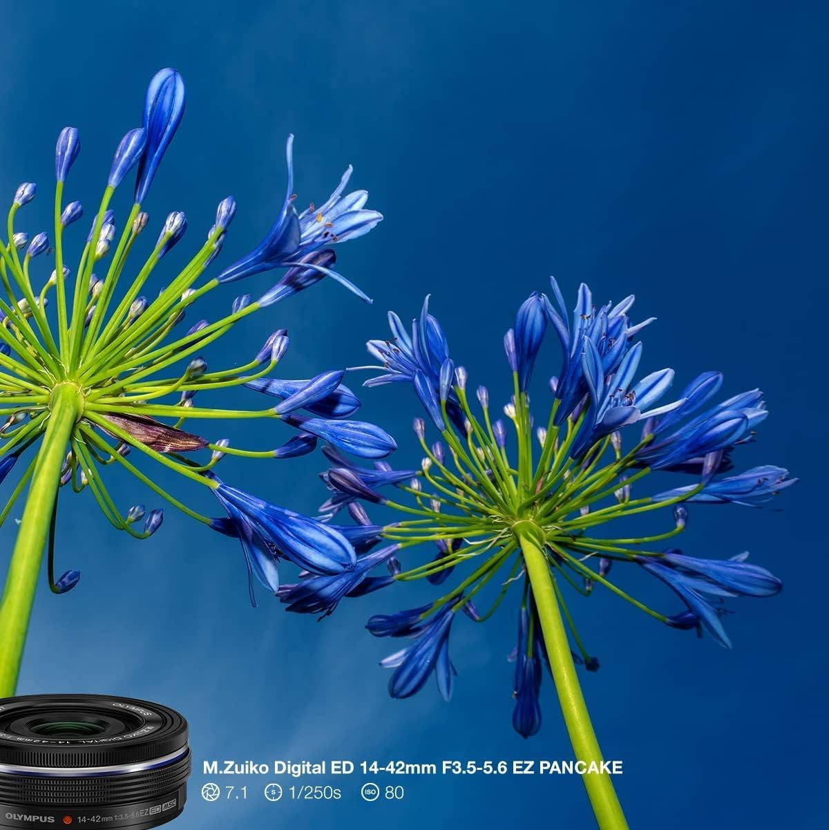 Amazon | OLYMPUS 電動式パンケーキズームレンズ M.ZUIKO DIGITAL ED