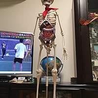 Amazon.co.jp: おしえて! おしゃべりガイコツ 70号 (人とからだの未来