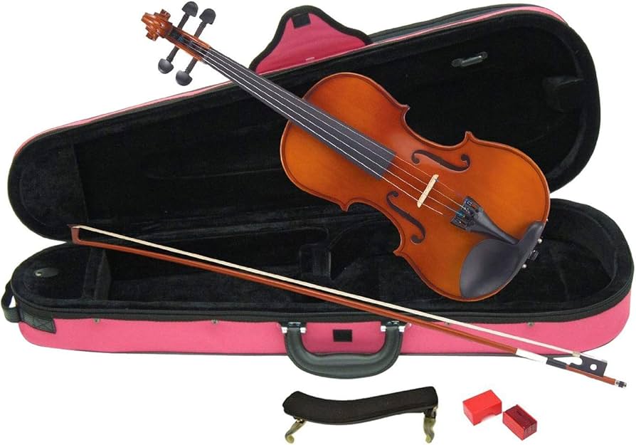 Amazon.co.jp: カルロジョルダーノ バイオリンセット VS-1C 1/2 ピンク