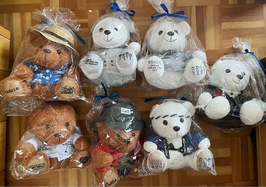 Amazon.co.jp: CNBLUE 公式 ライブ グッズ ぬいぐるみ くま 韓国