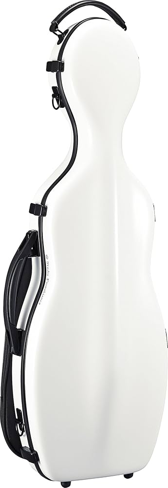 Amazon.co.jp: 【Fiumebianca/フューメビアンカ】バイオリンケースSV