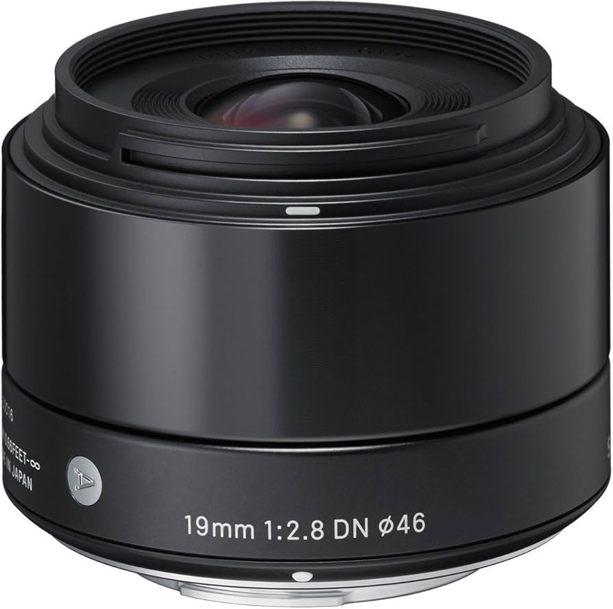Amazon.com : Sigma 19mm F2.8 EX DN Art (Black) for Sony SE