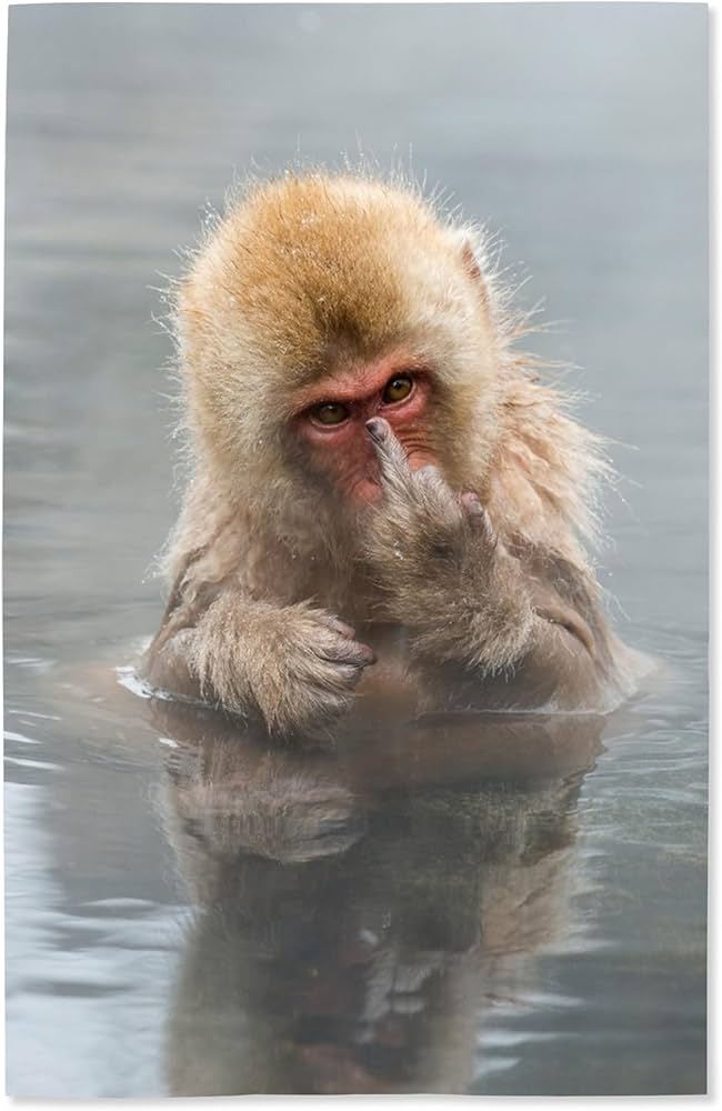 Amazon.com: Lantern Press 16x24 Inch Giclee Art Print Wall Decor