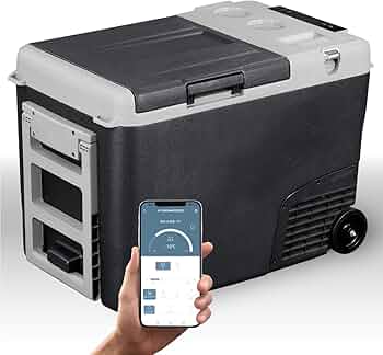 71KCop-O2BL._AC_UF350,